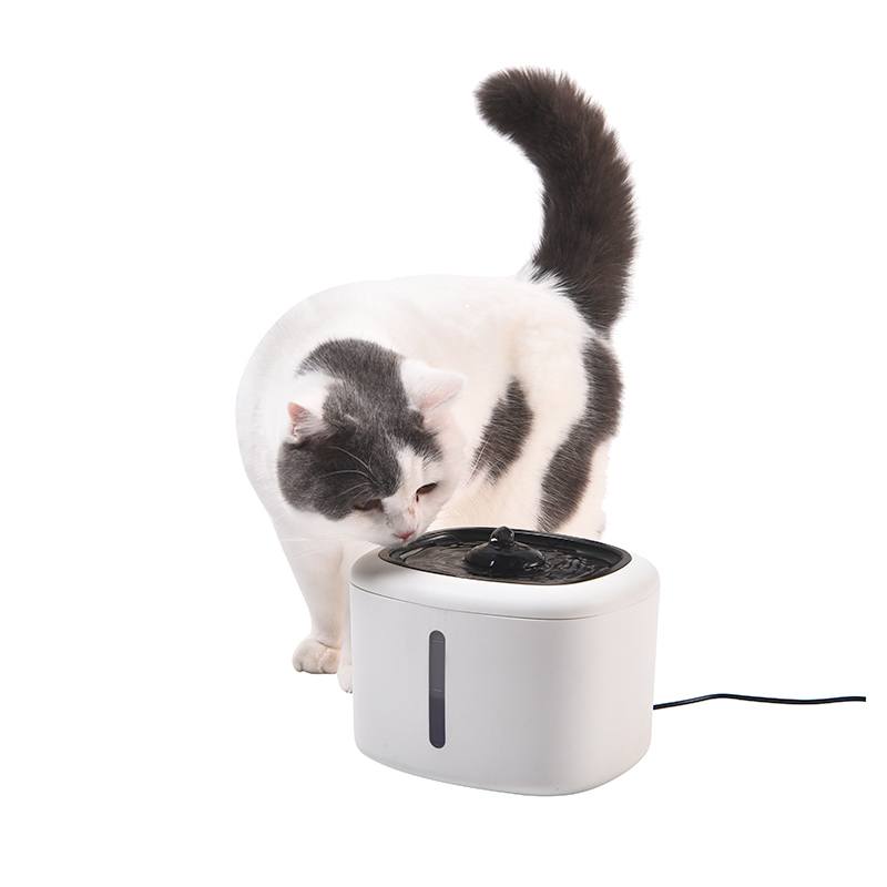 Fontaine À Eau Pour Animaux Pawzz 2,5l