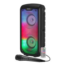 PICKERING Speaker  PARTY DJOON 224