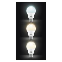 Ampoule KOOL.STAR LAMP LED 23