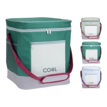 Koelbox 30L 31x31x37cm