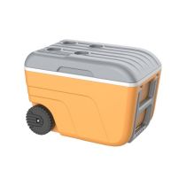 Koelbox 52L met handgreep en wielen