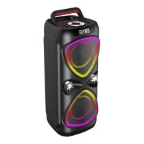 Enceinte sono ON.EARZ PSP250