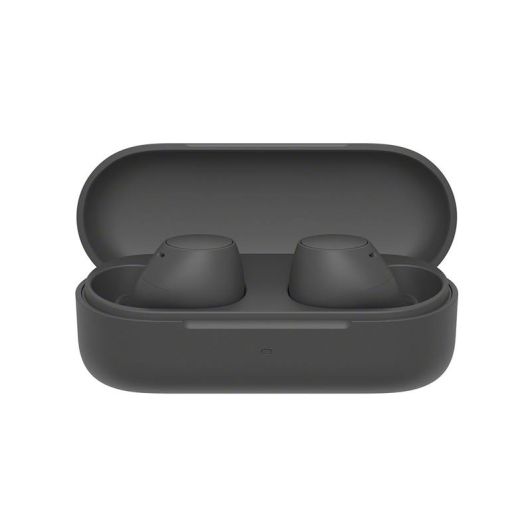 Ecouteurs SONY TWS WFC510B