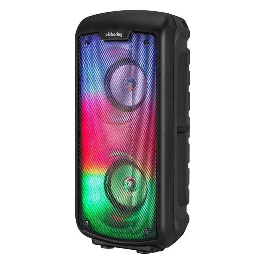 PICKERING Speaker  PARTY DJOON 224 