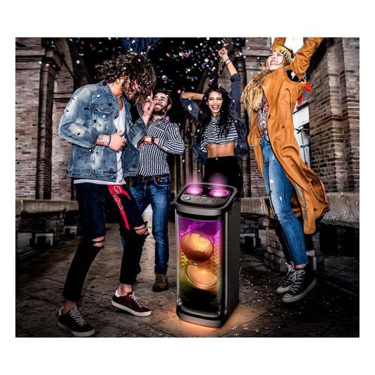 Enceinte PICKERING PKG 2000