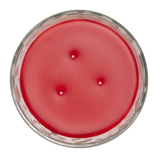 Kaarsen met 3 lonten 500 g Kerst