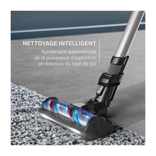 Aspi Balai ROWENTA RH9A32WO