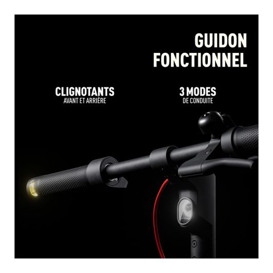 Trottinette électrique NINEBOT  by Segway F2E II