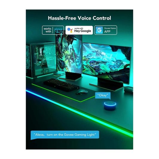 Ruban LED GOVEE Neon Gaming Table Light