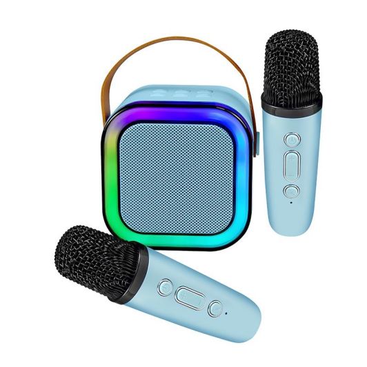 Enceinte LEDWOOD DUO VOICE