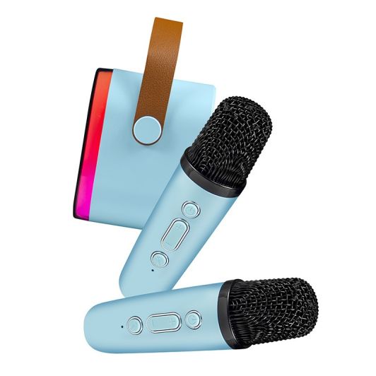 Enceinte LEDWOOD DUO VOICE