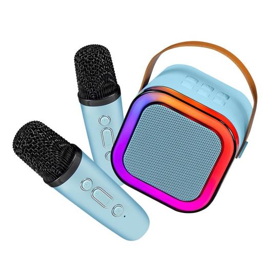 Enceinte LEDWOOD DUO VOICE