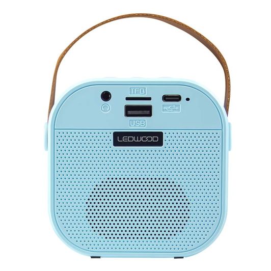 Enceinte LEDWOOD DUO VOICE