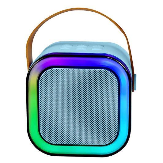 Enceinte LEDWOOD DUO VOICE