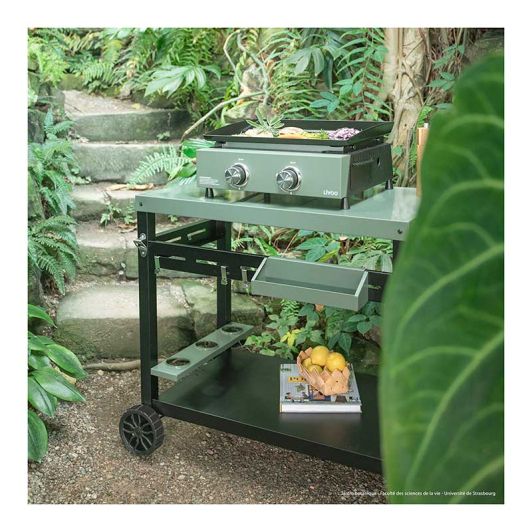 Plancha LIVOO GAZ DOC323 2 brûleurs