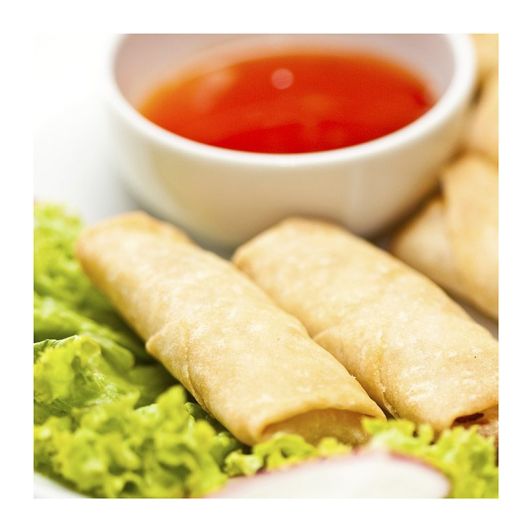 Friteuse FRITEL A106 4L