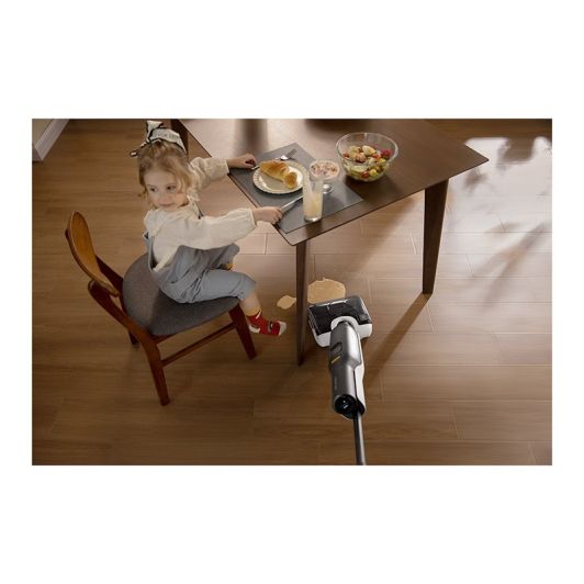 Vloerreiniger ROBOROCK f25