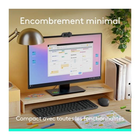 Pack toetsenbord + draadloze muis LOGITECH MK250