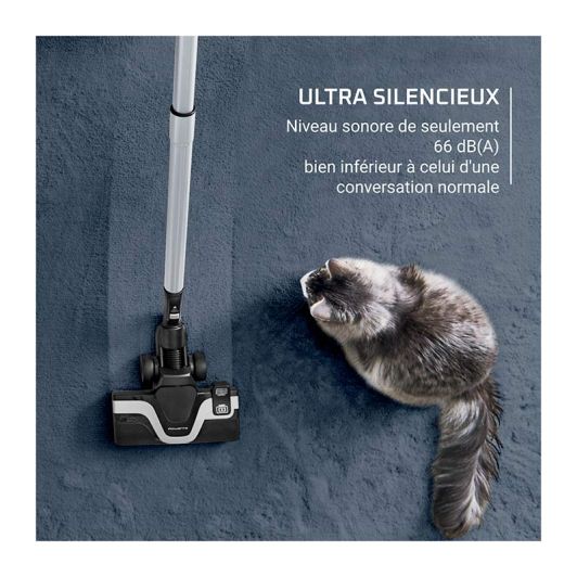 Stofzuiger zonder zak ROWENTA YY5669FE GREEN FORCE EFFITEC+