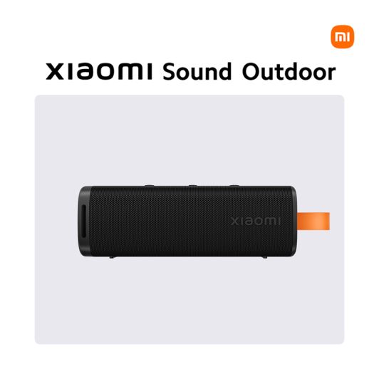 XIAOMI S29D Outdoor-luidspreker 30W – Zwart