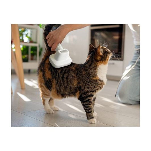 kit de toilettage animaux LIFENAXX avec 8 accessoires