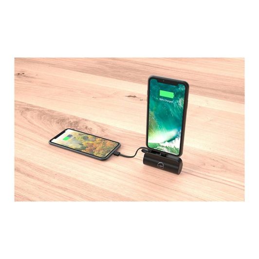 Powerbank MOBILITY LAB + connector