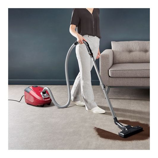 ROWENTA RO3164EA - Aspirateur avec sac