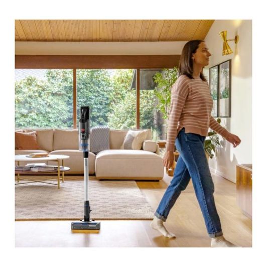 Aspirateur Balai Sans Fil BISSELL PowerClean FurGuard