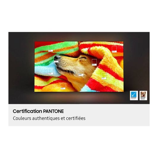 SAMSUNG Q55S84F - TV 55