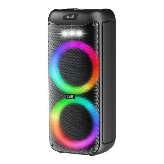 Pickering P28 Draagbare Party Speaker - Bluetooth - Led-verlichting