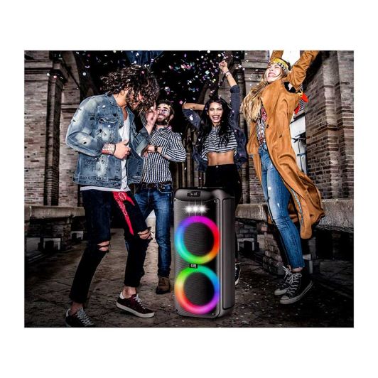 Pickering P28 Draagbare Party Speaker - Bluetooth - Led-verlichting