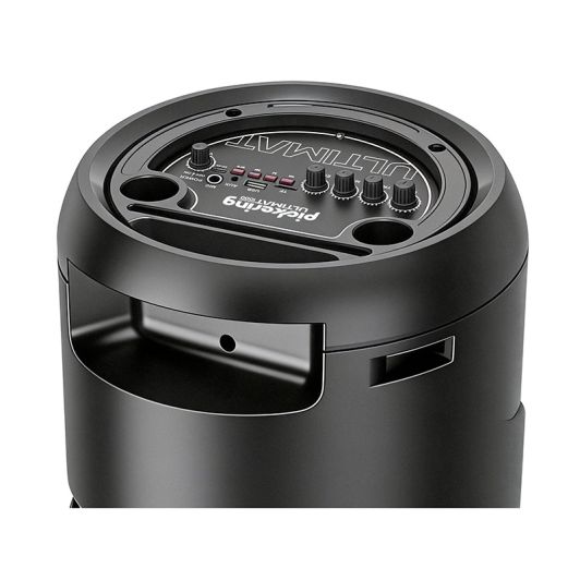 Speaker PICKERING ULTIMATSOUND 1000
