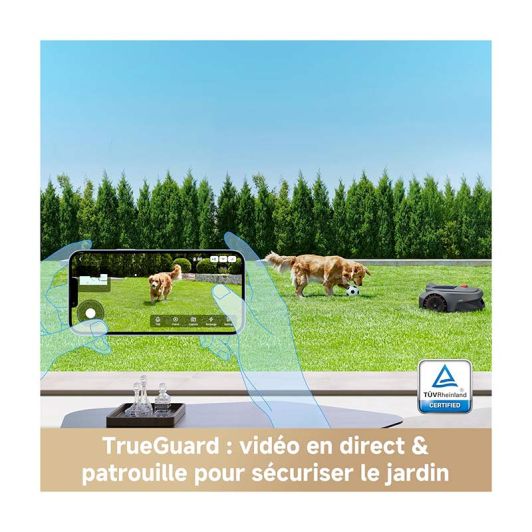 Robot tondeuse DREAME ViAX 300