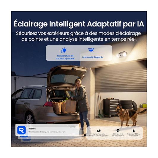 Caméra de Surveillance REOLINK OUTDOOR FLOODLIG