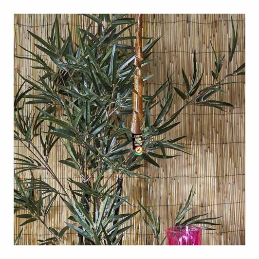 Vliegenvanglinten x8