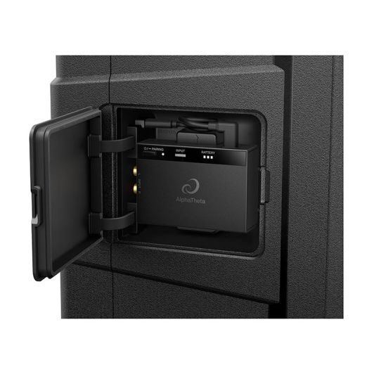 Speaker PIONEER DJ WAVE