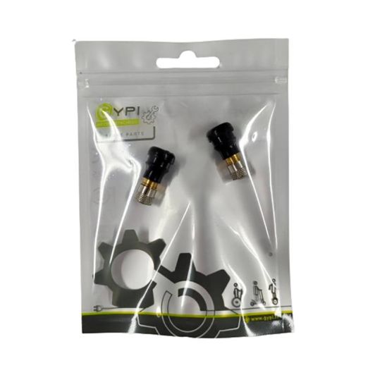 Universele GYPI Valve voor tubeless band