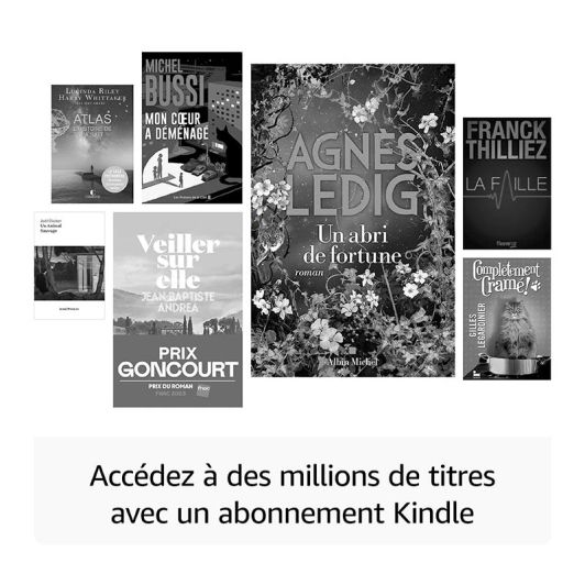 E-reader AMAZON Kindle Paperwhite SE 