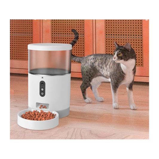 Distributeur de croquettes PAWZZ SOLO avec caméra
