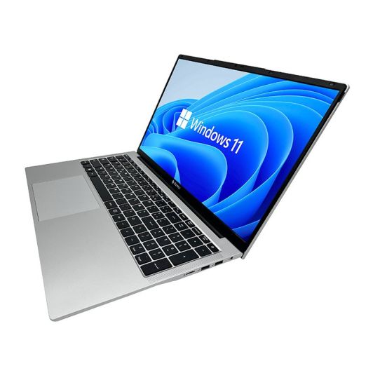 DANEW Dbook 175-W5 Laptop - 17.3 inch - Celeron - 8GB RAM - 512GB SSD