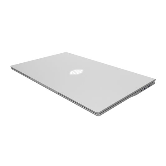 DANEW Dbook 175-W5 Laptop - 17.3 inch - Celeron - 8GB RAM - 512GB SSD