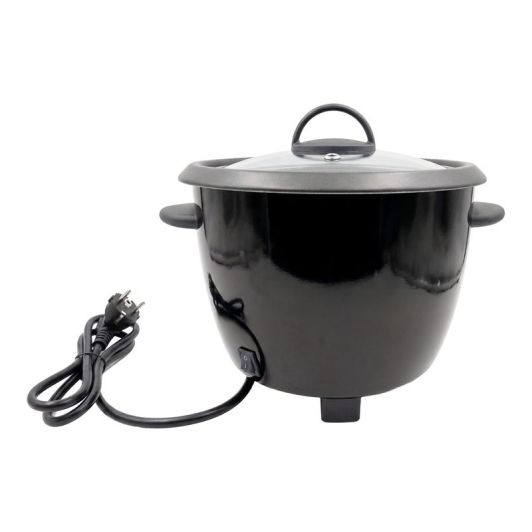Cuiseur de riz TECHWOOD TCR-106