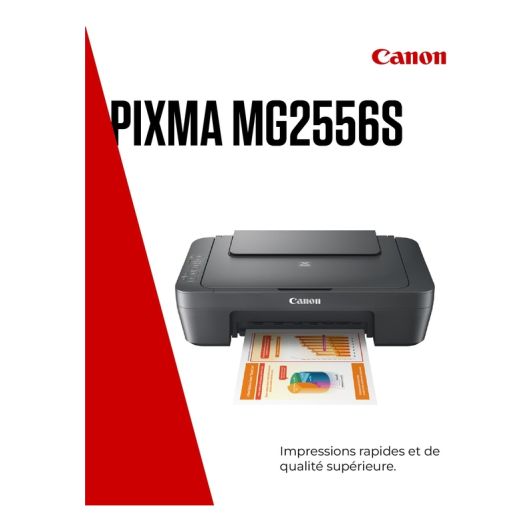 Imprimante CANON MG2556S multifonction SANS WIFI
