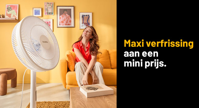 Maxi verfrissing aan een mini prijs